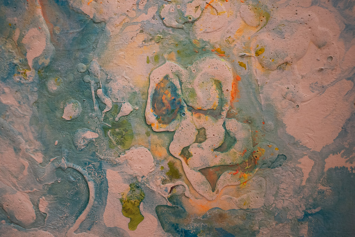 Embryo